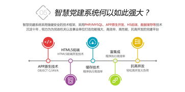 鼎維 以定制化與系統化方案，引領教育軟件創新開發